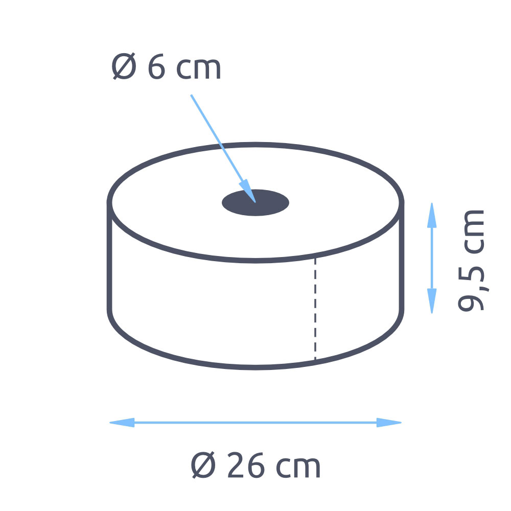 Jumborollen Toilettenpapier 2-lagig Zellstoff hochweiß Ø 26cm 300m pro Rolle - Palette (42 VE)